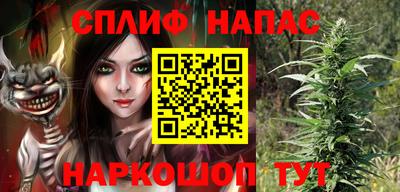 PSILOCYBIN Балахна