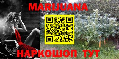 PSILOCYBIN Балахна