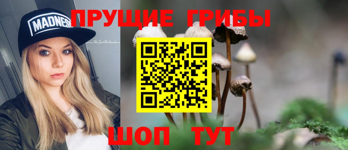 Псилоцибиновые грибы Cubensis  Бузулук 